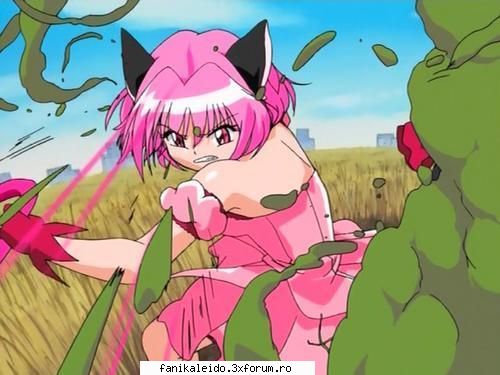 Mew-Ichigo - Pink Girl - ~*~Mew mew Power~*~