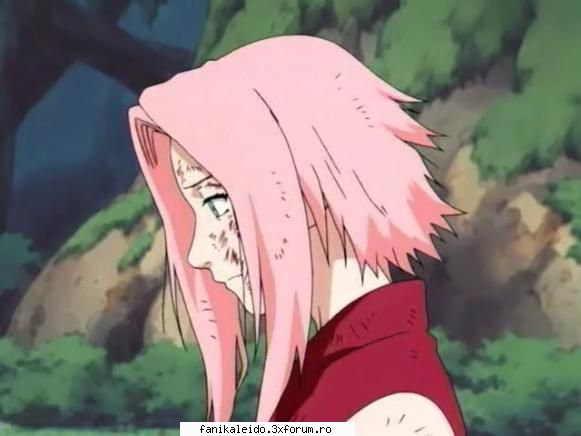 sakura Admin De Cristal