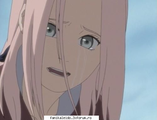 sakura dap,k pretul trebui fie Admin De Cristal